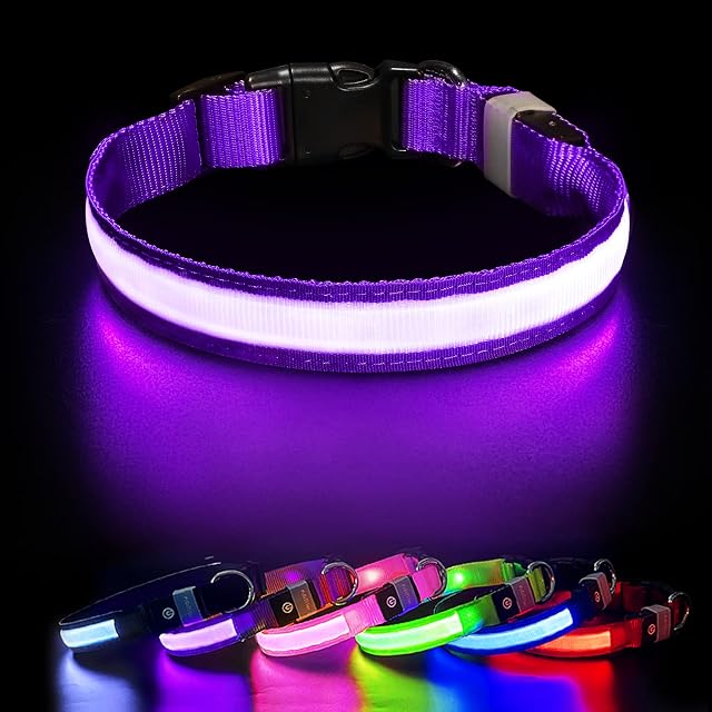 Light Up Dog Collar, LED Dog Collar Light USB Rechargeable and 100% Waterproof, 7 Colors Change Glowing Dogs Collar Super Bright Dog Light Up Collar for the Dark for Small Medium Large Dogs, Purple M