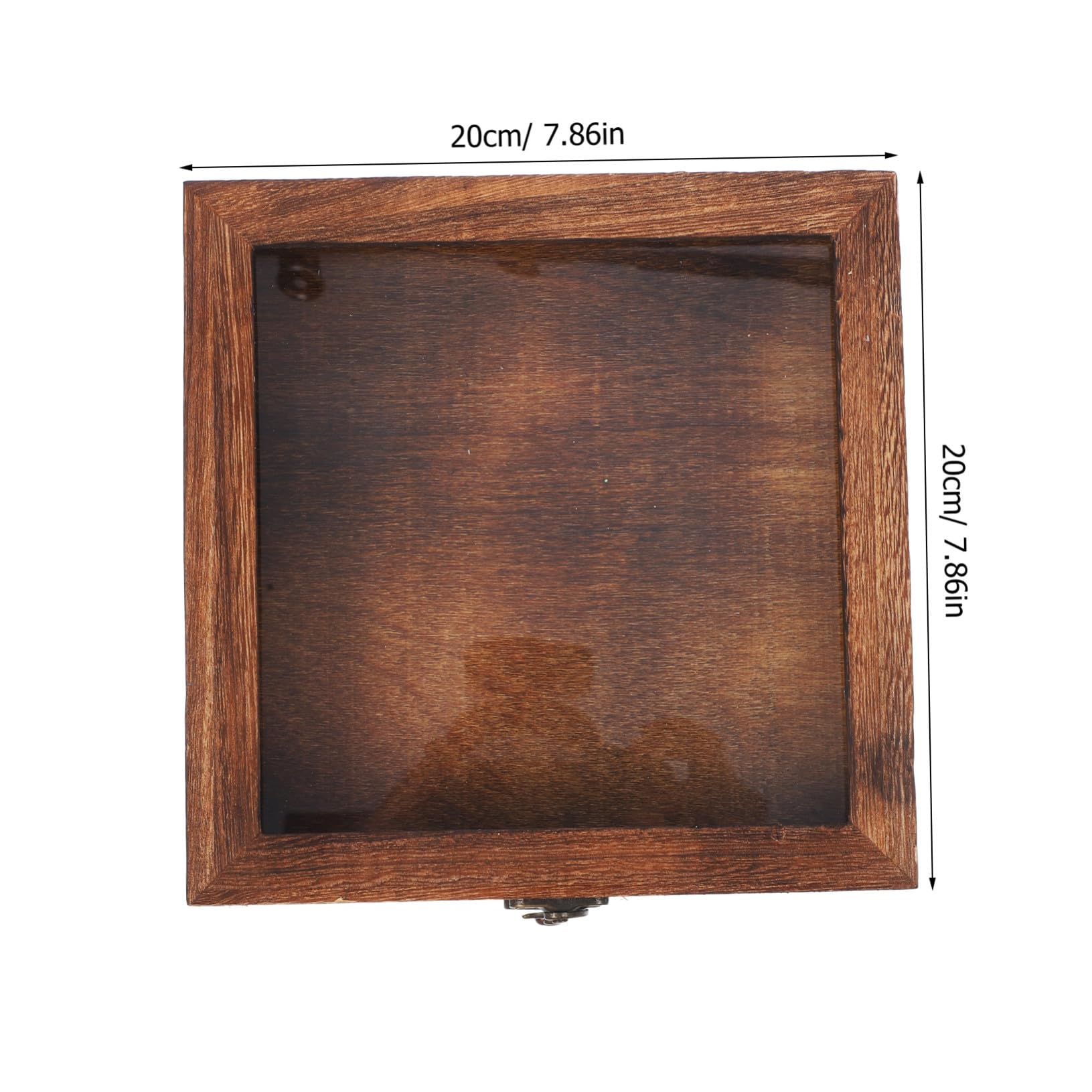TOYANDONA Scatola Espositore per Insetti Ganci in Legno e Acrilico, Stile Retrò, Grande Capacità, Portatile e Sicura per Collezioni di Farfalle e Altri Insetti