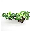 Product Photo 6