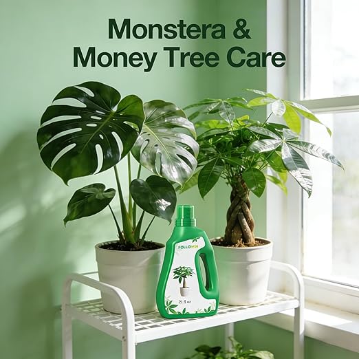 Abono Líquido para Money Tree NPK 3-1-2 21 fl oz miniatura 5
