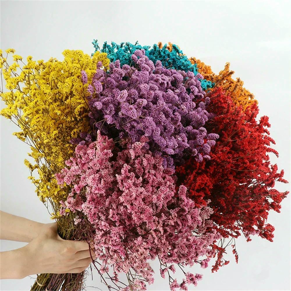 40-50 cm Herbe Cristal Naturelle séchée, véritable Fleur « Amour éternel » pour Les compositions de Mariage