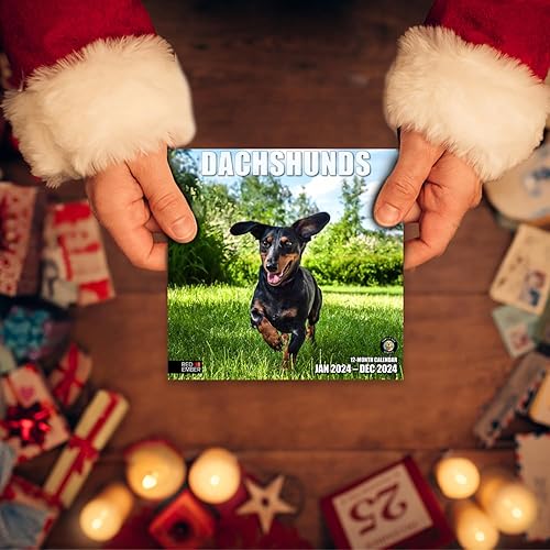 Miniatura 6 de Red Ember - Mini calendario de pared para espacios pequeños, Dachshunds 2024 para colgar mensualmente, solo 7 x 14 pulgadas de apertura, papel