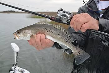 SHIMANO - シマノ　バンタムmgl ハイギア Amazon | SHIMANO バンタム 150 MGL ハイギア ロープロファイル