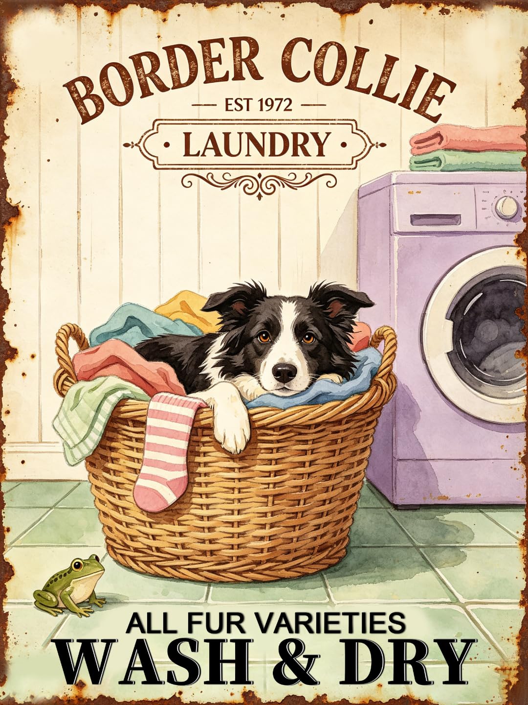 Vintage Border Collie Laundry Tin Sign 30x40cm