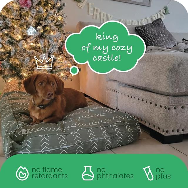 Foto 6 de 7 de Molly Mutt Forever Young Dd82b - Funda de Cama para Perros medianos a Grandes, 68,6 x 91,5 x 12,7 cm, 100%…