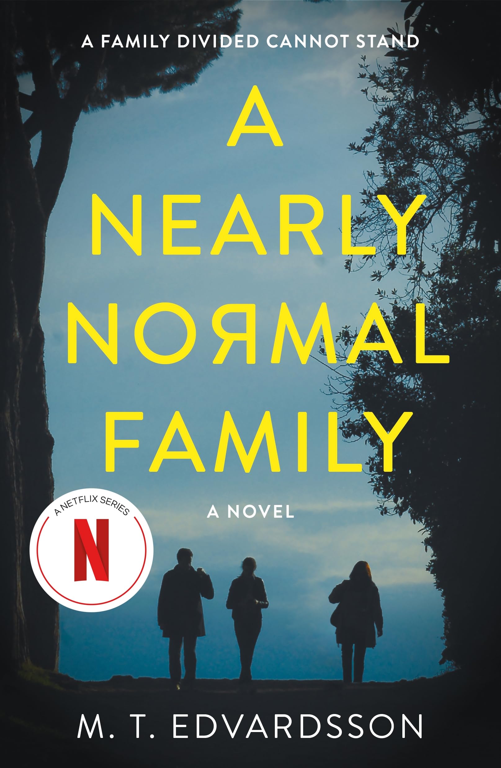 A Nearly Normal Family: A Novel