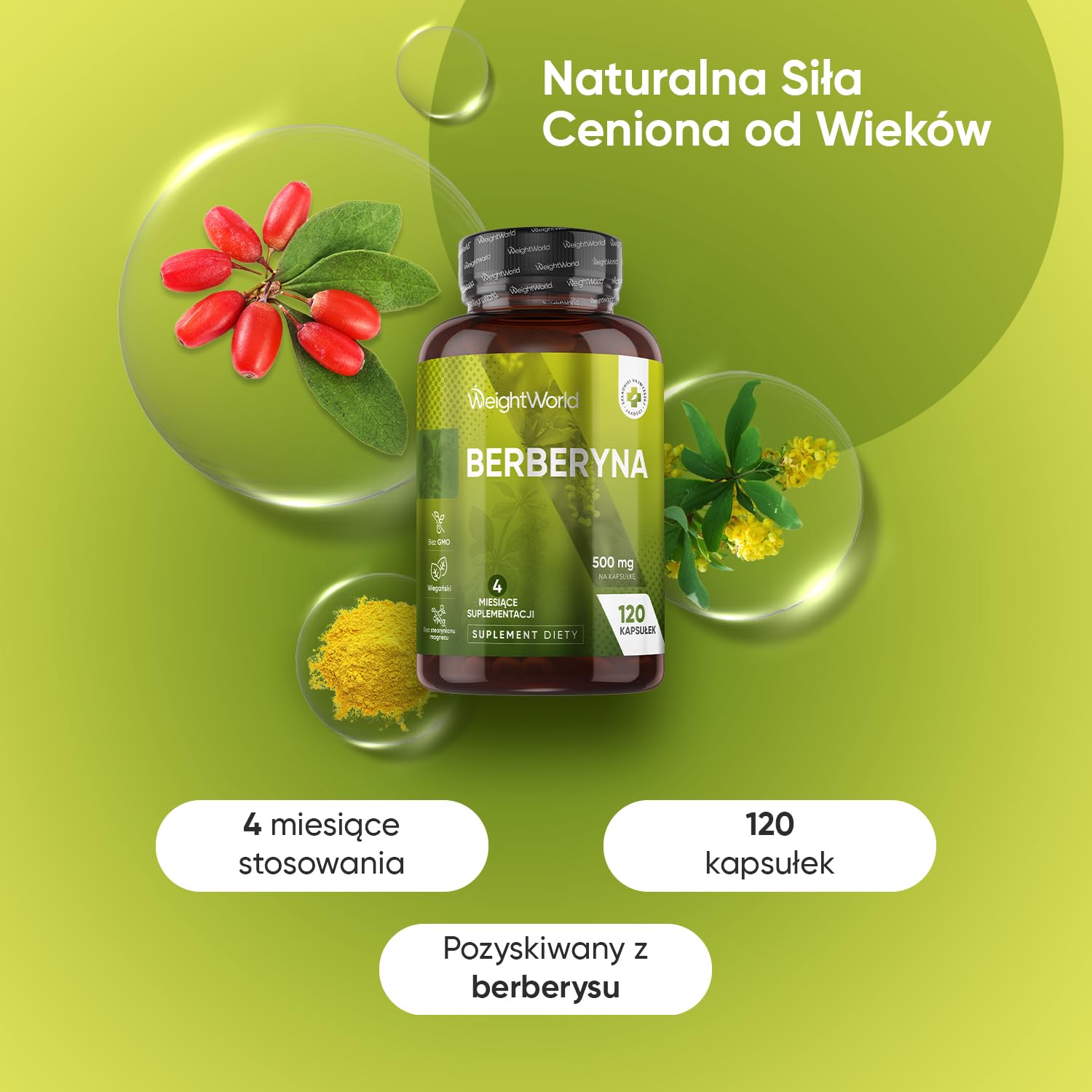 Berberyna 500 mg, opakowanie 120 kapsułek, zaopatrzenie na 4 miesiące – suplement berberyny odpowiedni dla wegan, bez alergenów, bezglutenowy oraz bez GMO, tylko raz dziennie