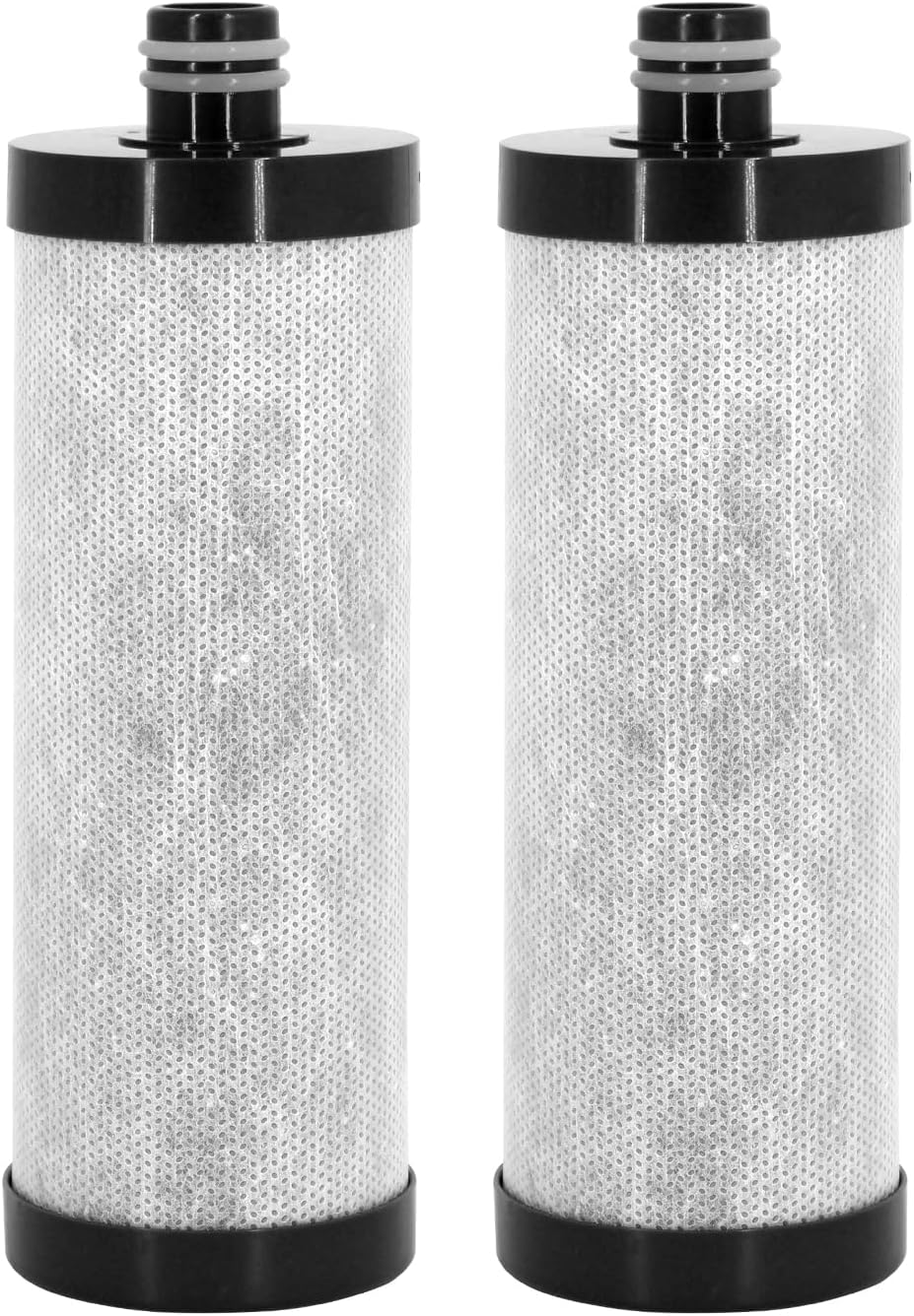 Lifefilter Carbon Shower Head Filter, 2.0 Carbon Shower Filter removes chlorine, heavy metals and other impurities from the water, improving dry skin and hair (2 Pack)