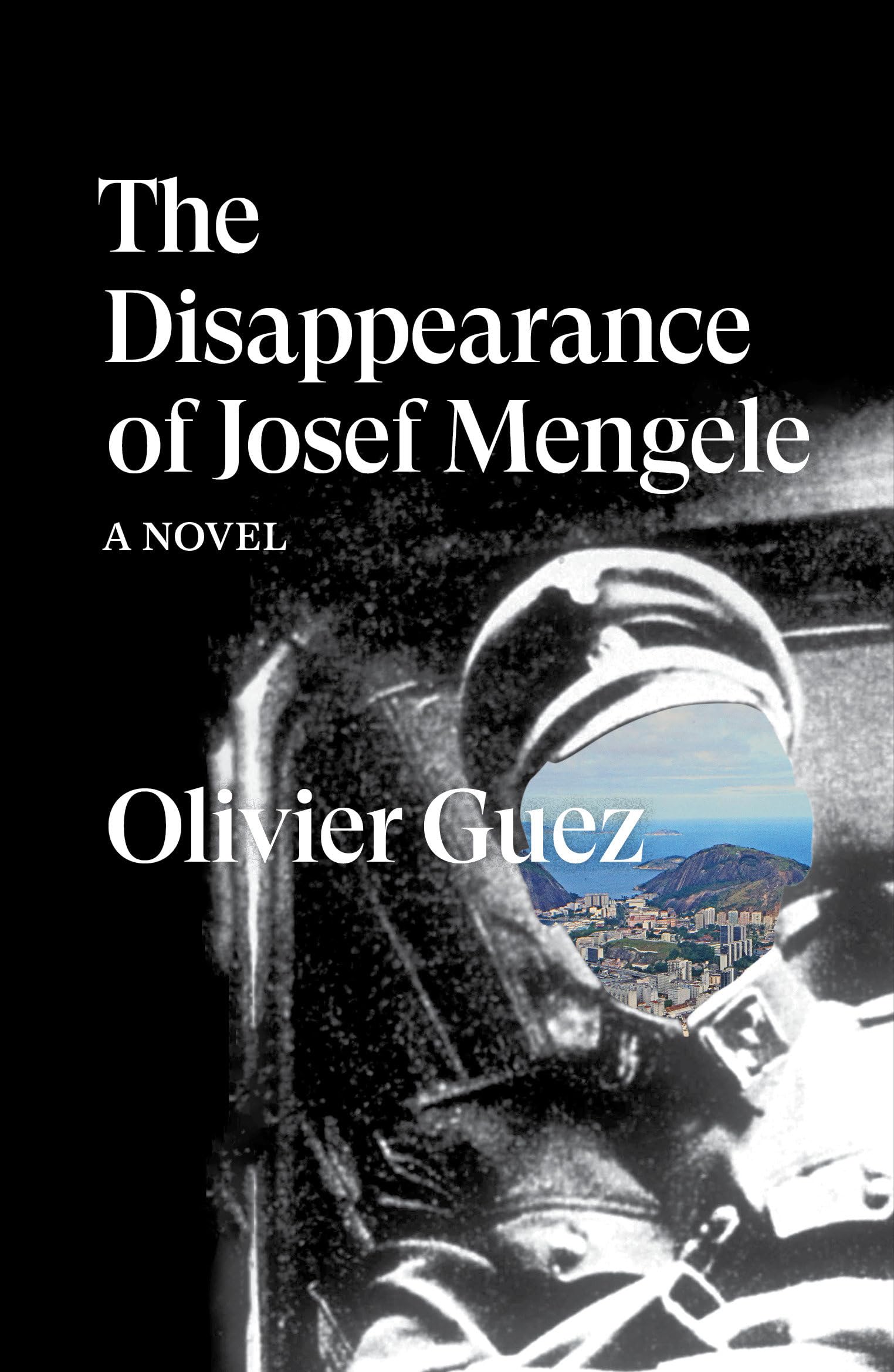 The Disappearance of Josef Mengele: A Novel (Verso Fiction)