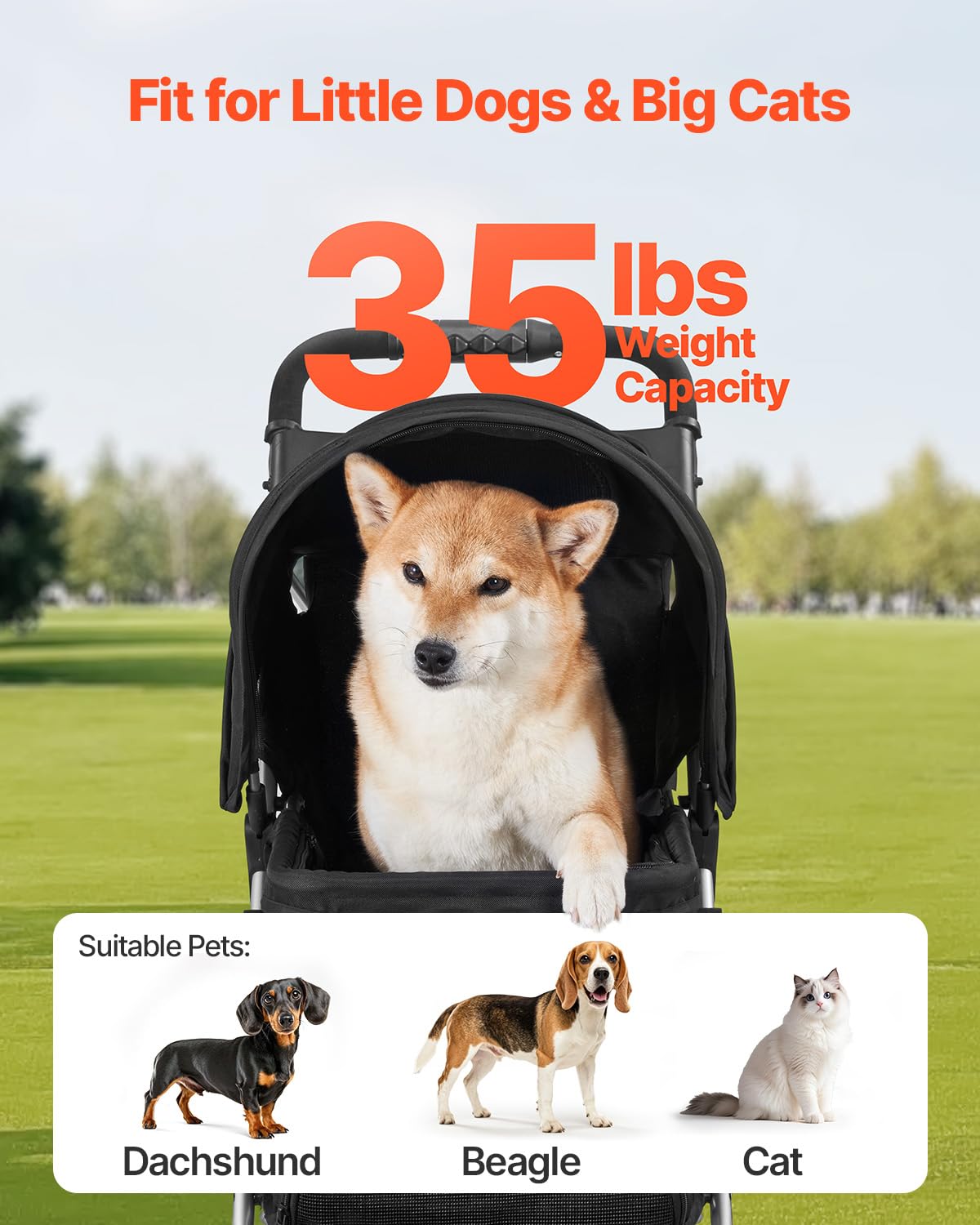 https://m.media-amazon.com/images/I/71CXtia8ocL.jpg