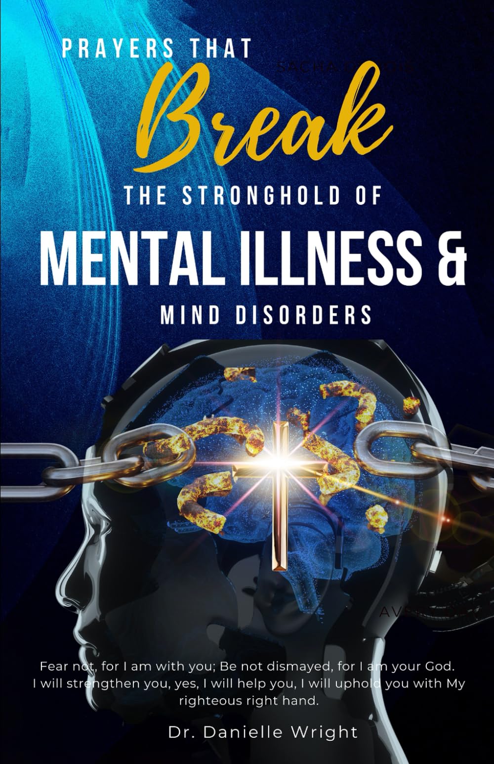 Prayers That Break The Strongholds of Mental Illness: And Mind Disorders