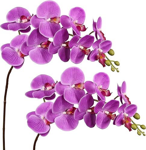 DILATATA Orquídea Phalaenopsis floreciente de 31.5 pulgadas de alto, orquídea artificial de tacto real con 9 flores grandes, orquídeas falsas,
