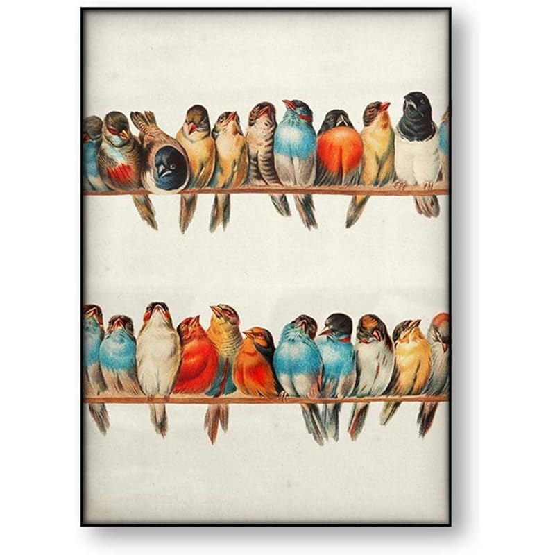 ヴィンテージ鳥ポスターレトロな壁アートカラフルな鳥のイラストアンティーク動物の写真キャンバスプリント絵画家の装飾 40x55cmフレームレス 6yrdqhow1w Www Bugacpusztahaza Hu