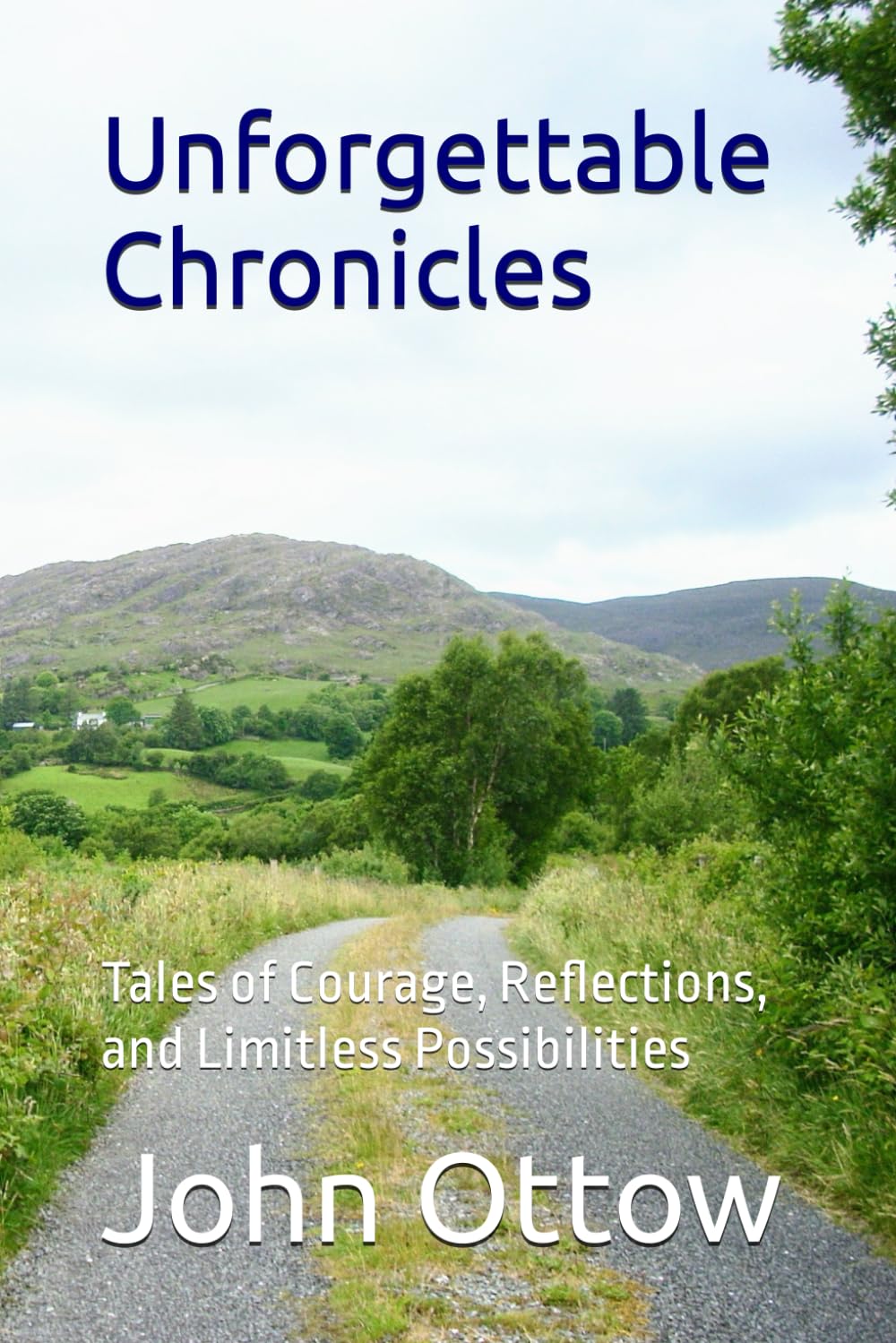 Unforgettable Chronicles: Tales of Courage, Reflections, and Limitless Possibilities