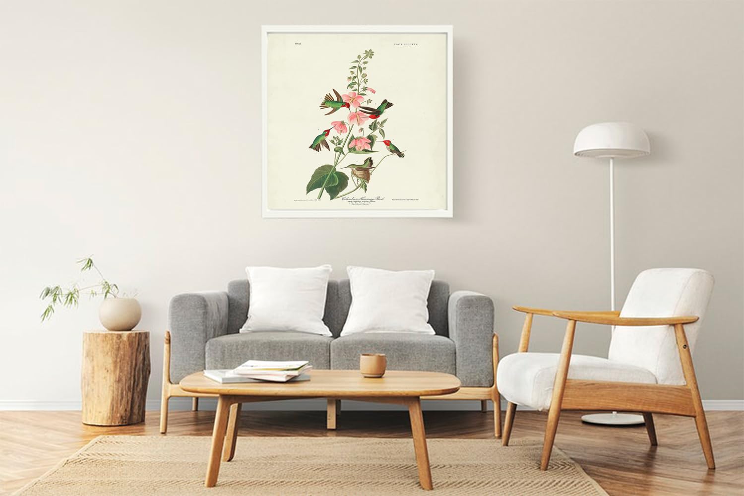 VERRE ART Printed Framed Canvas Painting for Home Decor Office Wall Studio Wall Living Room Decoration (22x22inch White Floater) - Columbian Hummingbird