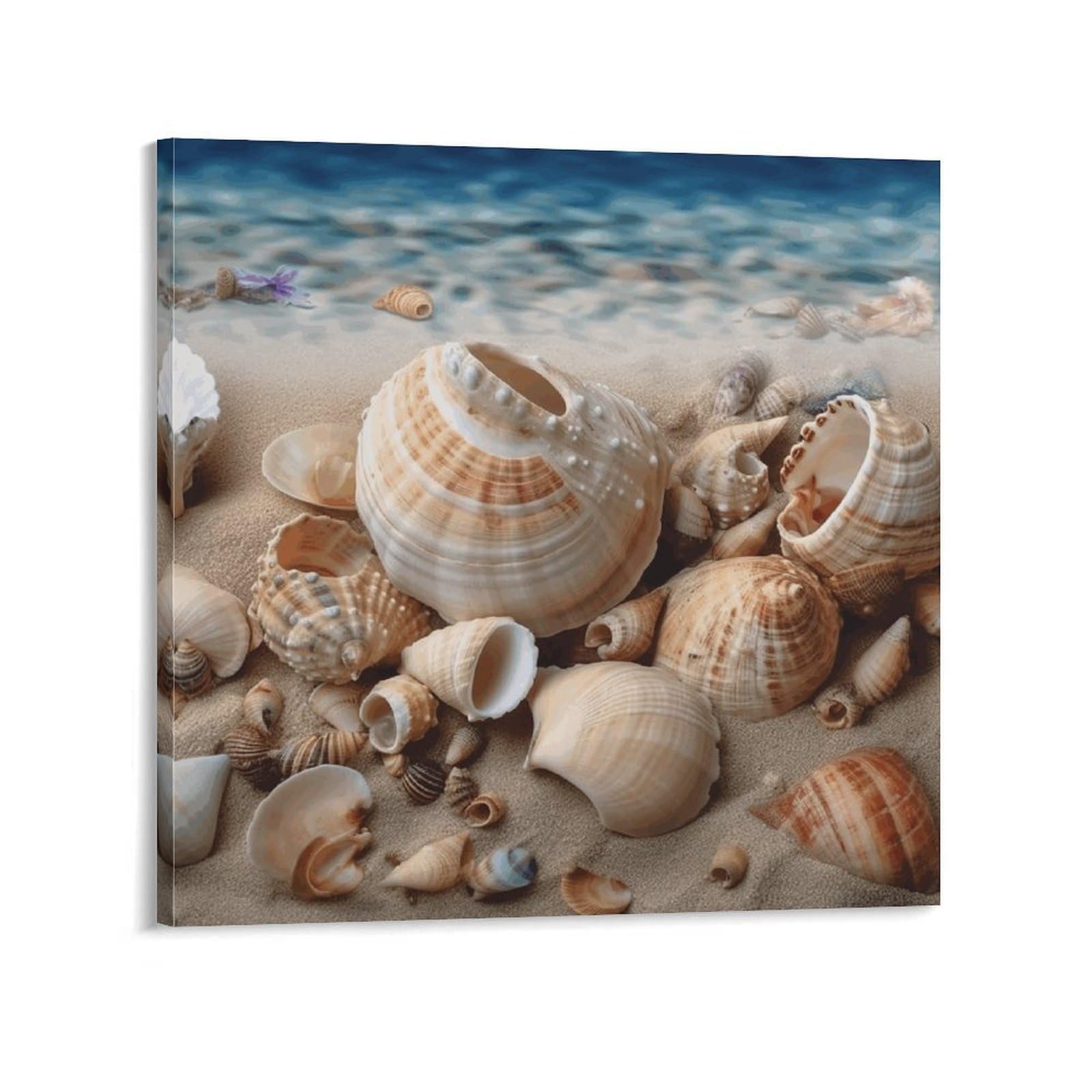 Seashells by The Seashore Canvas Wall Art for Bedroom 12x12inch(30x30cm) Canvas Prints Artwork for Walls Modern Picture Artwork Painting for Living Room Aesthetic Wall Paintings for Bathroom Kitchen O