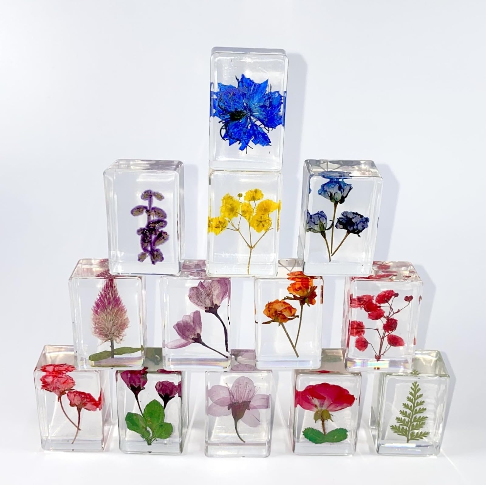 12 Stück Blume in Harz Exemplare gepresste Blume Briefbeschwerer Blume aus Harz Exemplare Sammlung für Schreibtisch echte Blumen Proben Papiergewichte für Kinder wissenschaftliche pädagogische