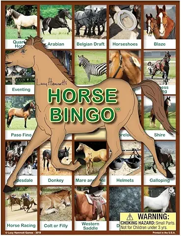 Horse Bingo Educational Game box