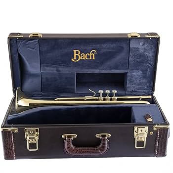 Bach Stradivarius C180 トランペットケース Bach C180 Stradivarius Trumpet Case : Amazon.de: Musical