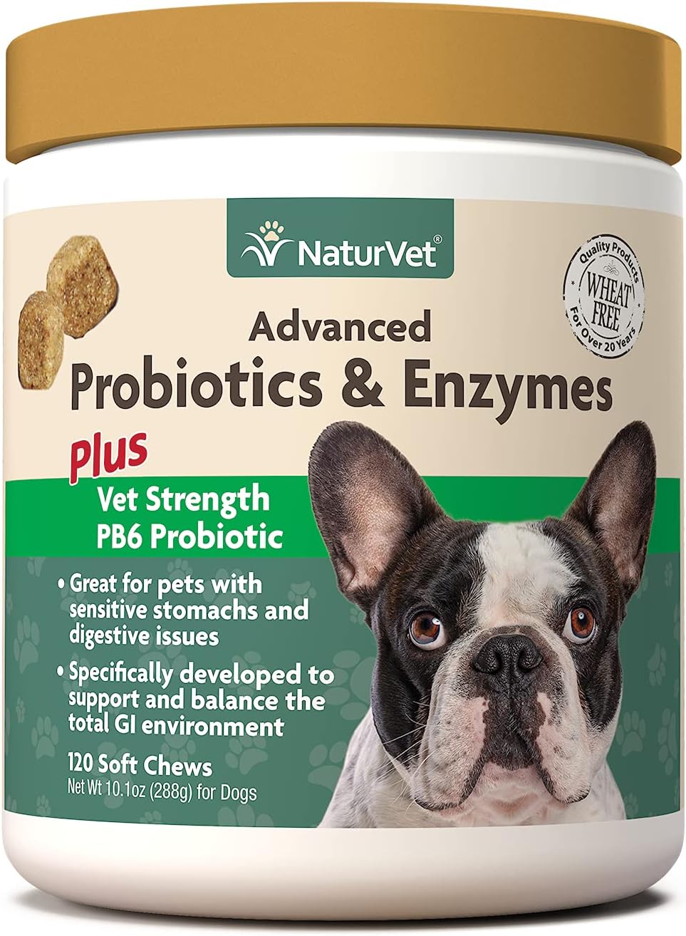 probiotic chews for dogs