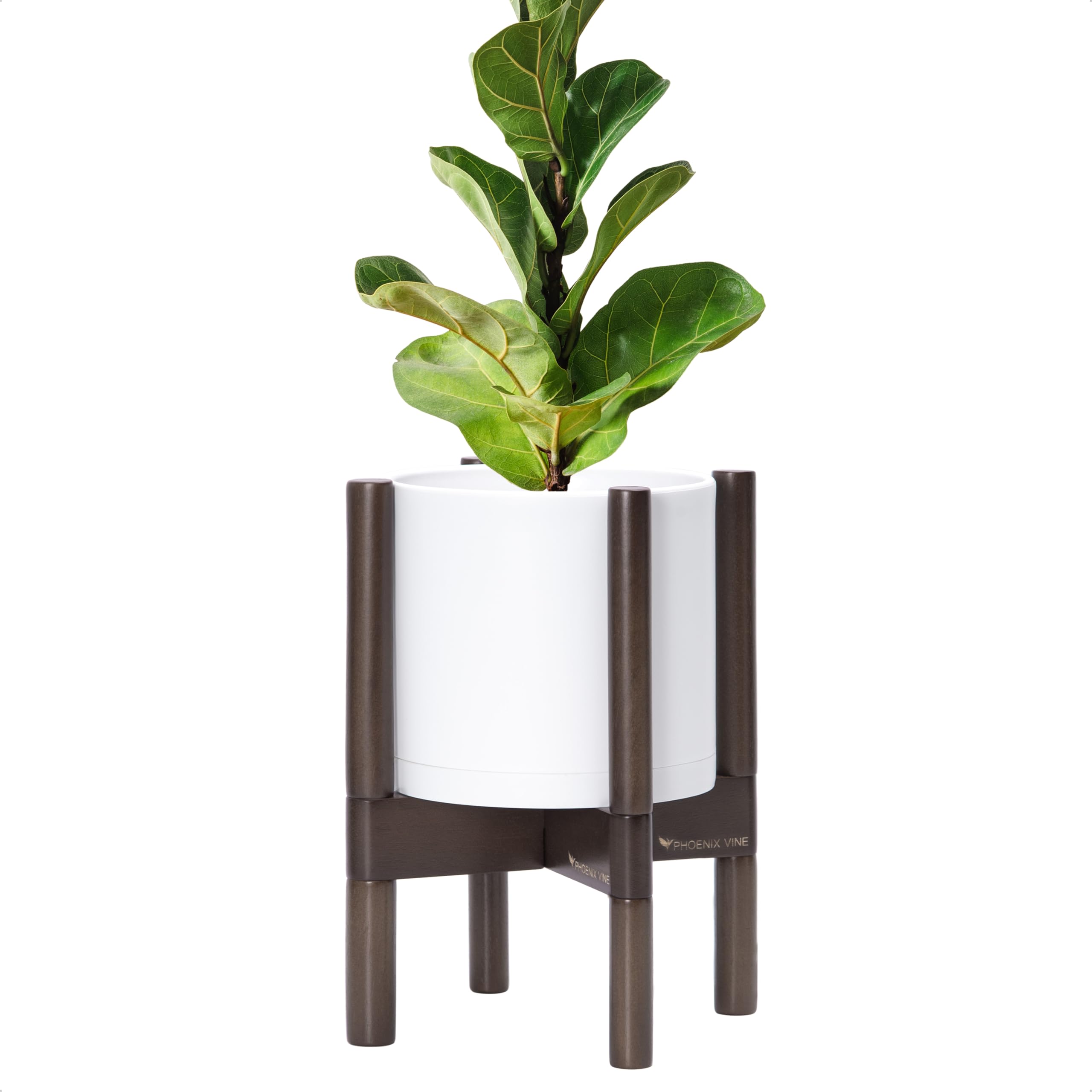 D'vine Dev Plastic Pot with Walnut Stand