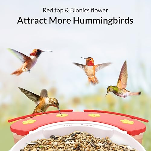 Miniatura 4 de NETVUE Birdfy Cámara con cámara Birdfy Hummee, alimentador inteligente para pájaros con cámara, videos de aves de captura automática y observación