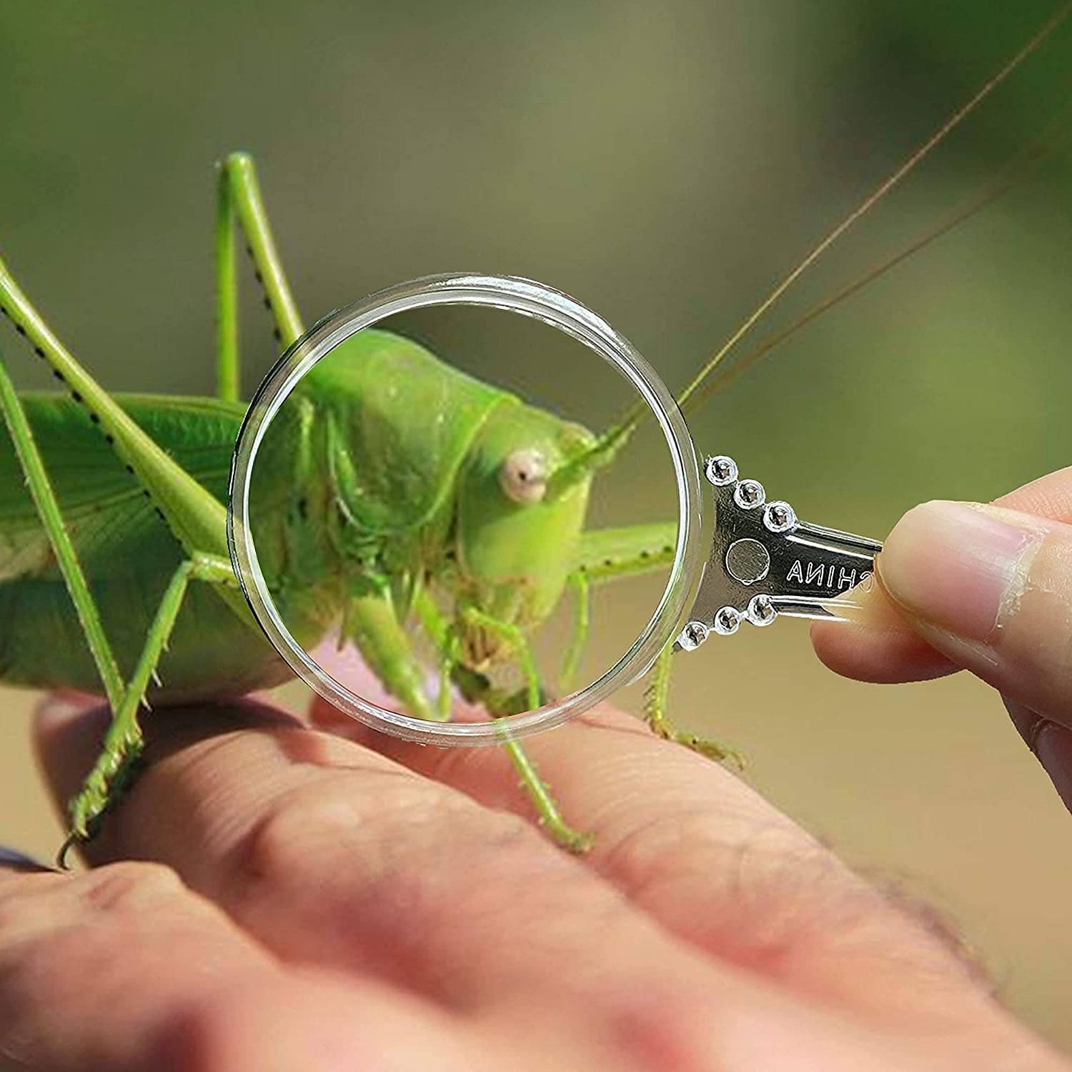 Mini Handheld Magnifier with Binoculars for Kids, Education, Bird Watching, Travel, Camping and Outdoor Sport Games