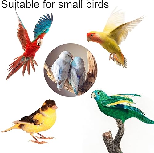 Miniatura 7 de jovani Baño para pájaros para jaula, loro colgante transparente, sin fugas, tubo de ducha, caja de ducha, accesorio para Lovebird Canary Budgies