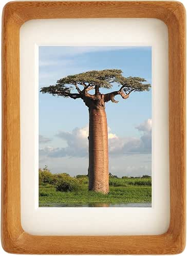 Wood Picture Frame with Mat, Desk or Wall Display Mid