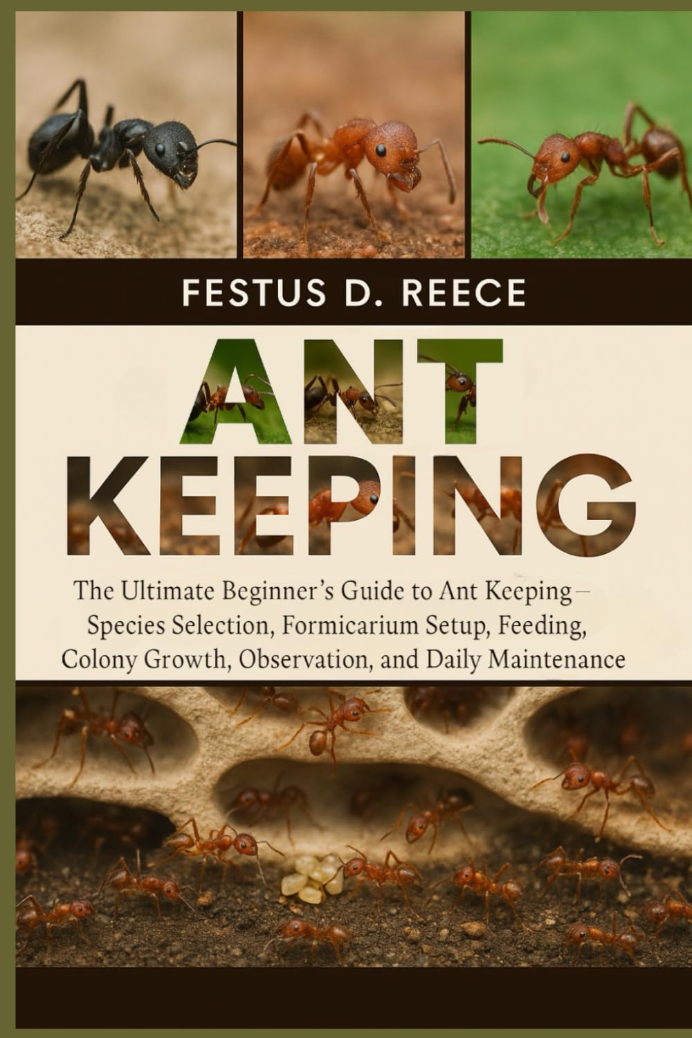 ANT KEEPING: The Ultimate Beginner’s Guide to Ant Keeping—Species Selection, Formicarium Setup, Feeding, Colony Growth, Observation, and Daily Maintenance