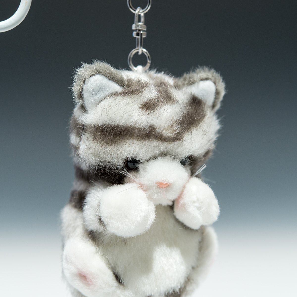 Amazon.co.jp: Takenoko 68318 Puchi Dorumu Keychain Cat Gray Plush