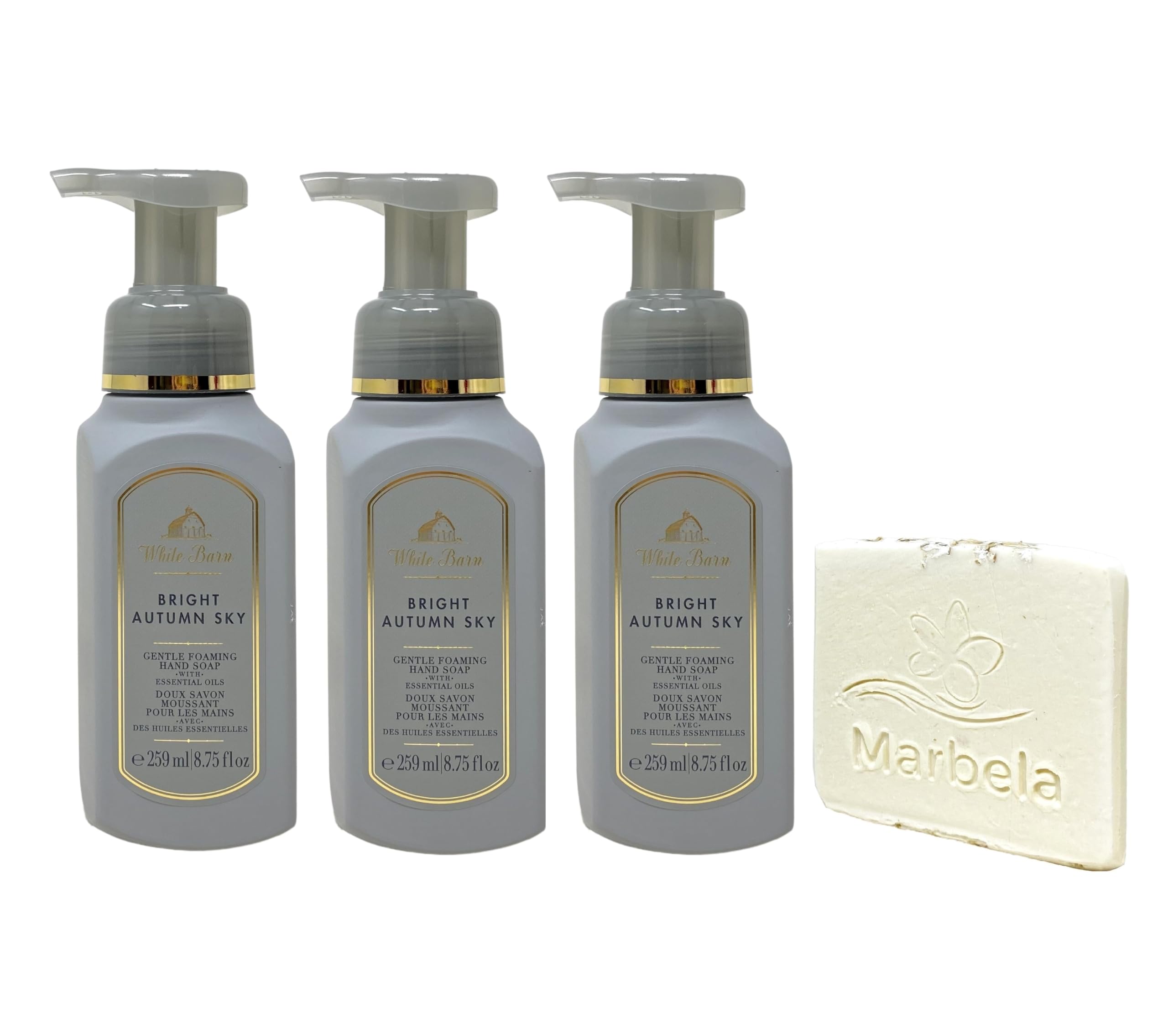 Bath & Body Works Bright Autumn Sky 3 Pack Gentle Foaming Hand Soap Bundle with a Natural Oats Sample Soap