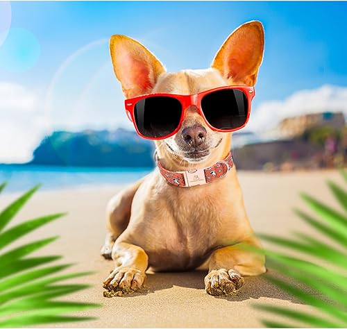 Miniatura 6 de Collar para perros Lionheart glory con estampado de tiburón, collar para perros hembras o machos, regalo para mascotas, collar ajustable para perros