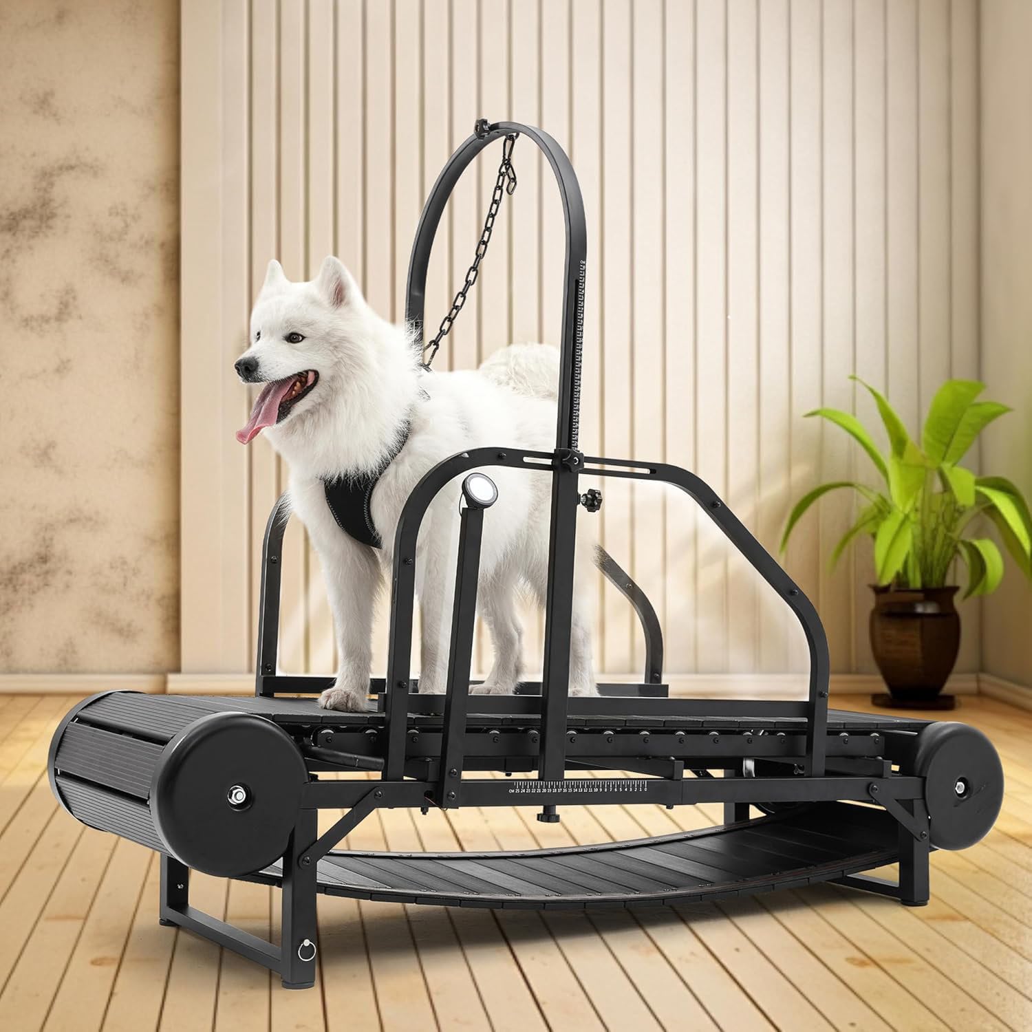 Cinta de Correr para Perros Grandes y medianos, Equipo de Ejercicio para Perros, Cinta de Correr para Perros, rampa Ajustable para Perros, máquina de slatmill con podómetro