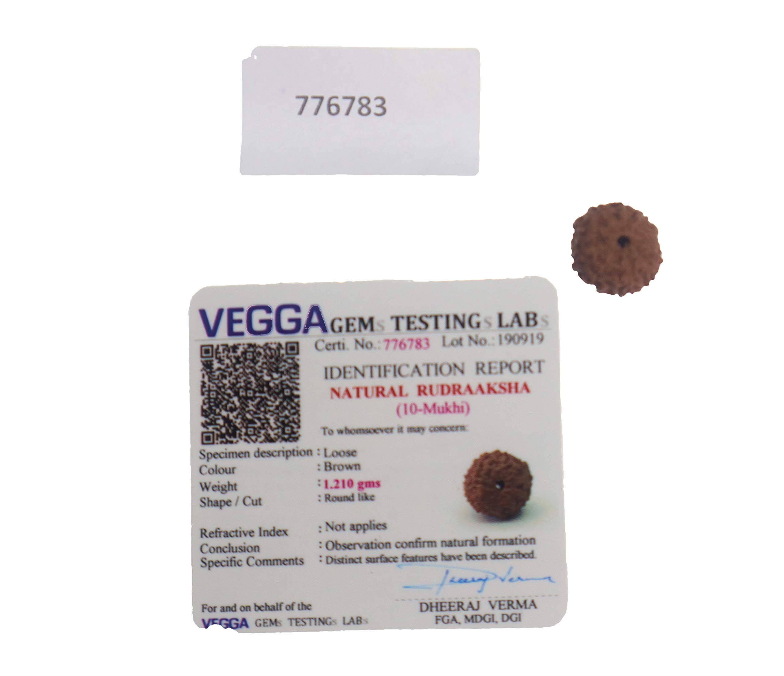 Generic10 Mukhi/Ten Face Natural Rudraaksha with Lab Certificate