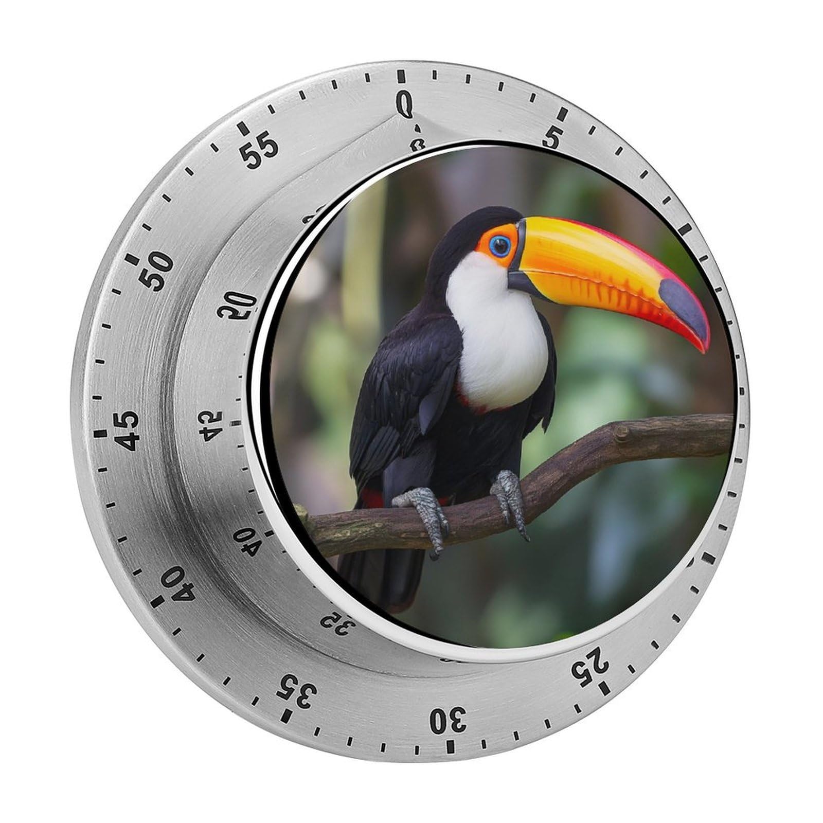 Toucan Kitchen Timer Magnetic Countdown Countup Timer for Cooking Baking 8x8cm