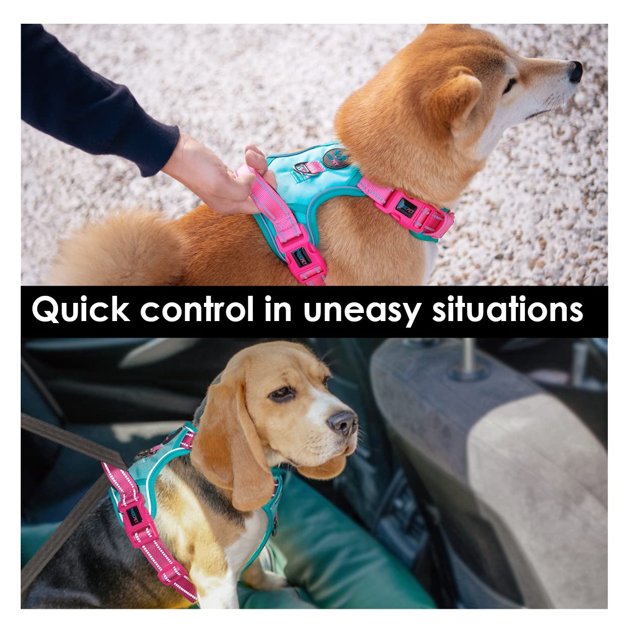 PHOEPET Anti-Pull Dog Harness Adjustable with Reflectors - Image 4