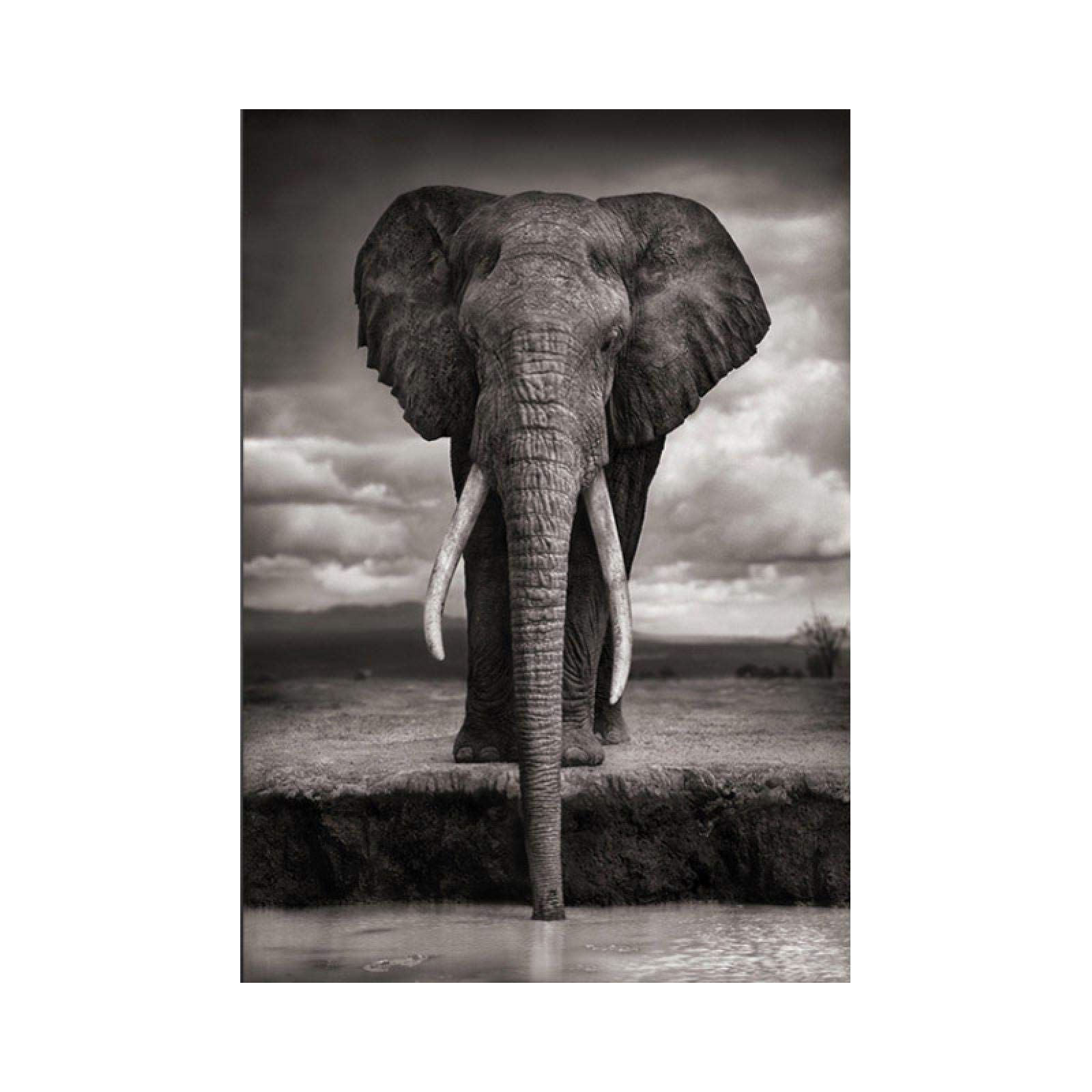 Yinaa Decor Quadri su tela Immagini a colori Elefante Dipinti ad olio Stampa per soggiorno Decorazioni per la casa Animali Poster e Stampe Wall Art 30x30cm senza cornice