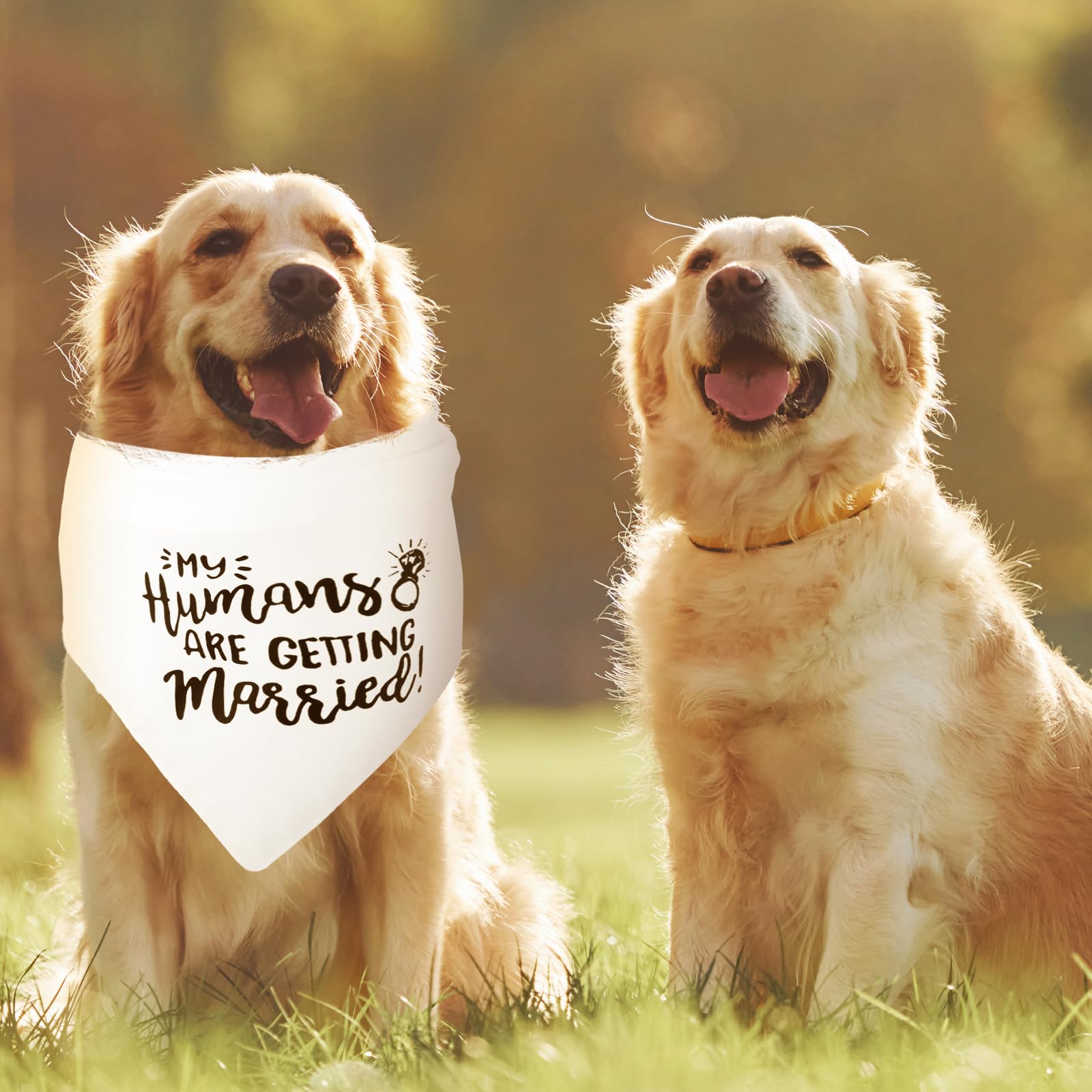 WLLHYF Regalo di fidanzamento Bandana per cani My Humans are Getting Married Sciarpa per animali domestici Annuncio di fidanzamento Bandana per cani Accessori per animali domestici per gli amanti dei