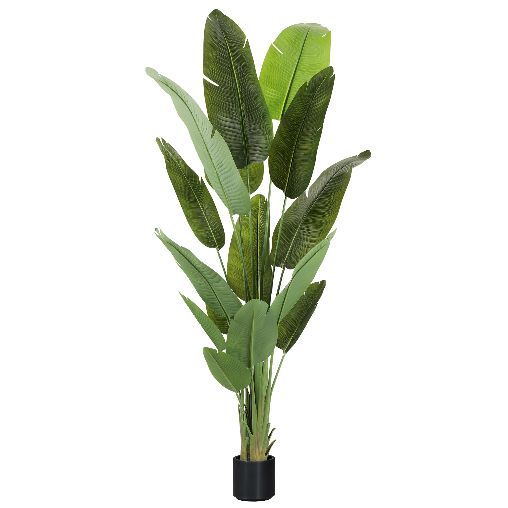 ProDeco 6.6ft Silk Bird of Paradise