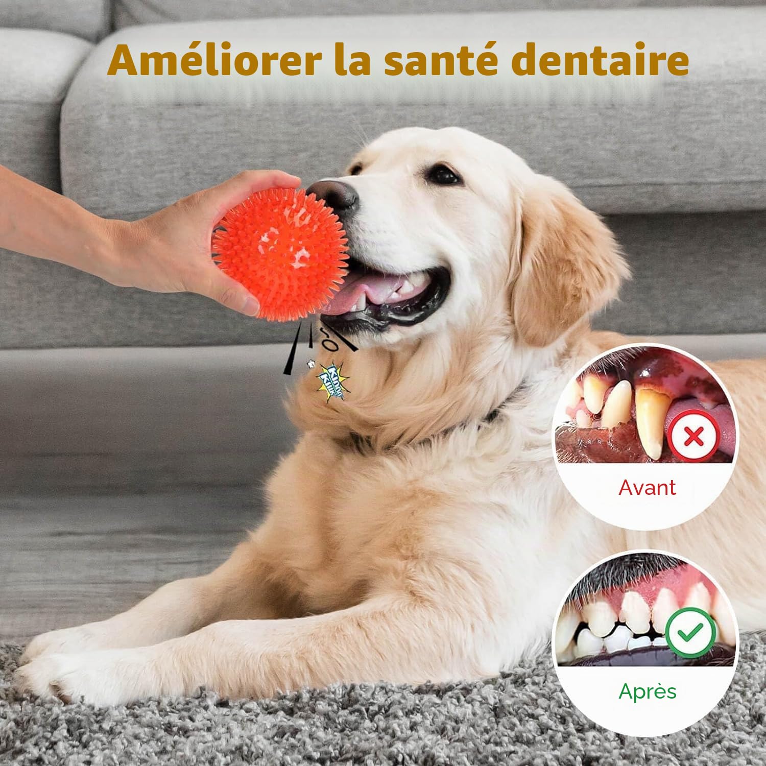 petizer Lot de 6 balles couinantes de 6,5 cm pour chien, balle à picots pour chien, jouet flottant pour piscine, jouets à lancer pour chiot en caoutchouc TPR pour l'ennui, nettoyage des dents pour