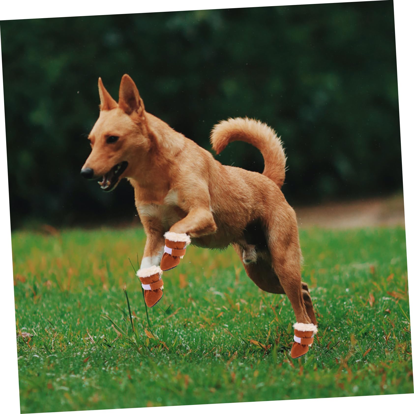 4piezas Botas De Perro Impermeables y Antideslizantes Calcetines para Mascotas Diseño Cálidas y Suaves para Invierno y Actividades Al Aire