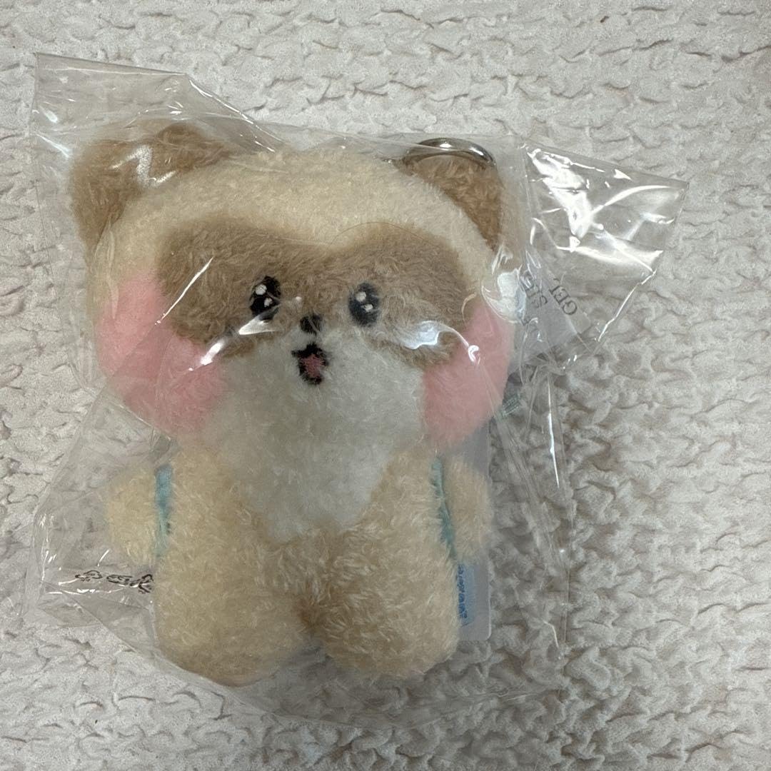 zeroni ゼロニ hanini ハニニ　フラット　ぬいぐるみ　新品未開封 ZEROBASEONE zeroni hanini ジャンハオ ハニニ ぬいぐるみ ZB1