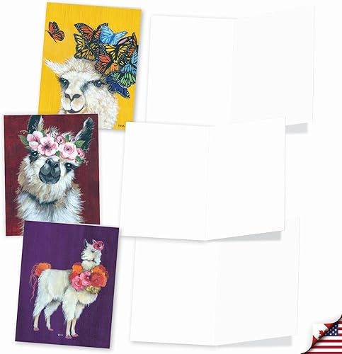 Vista 27 de The Best Card Company - MPOCB-FUNKY