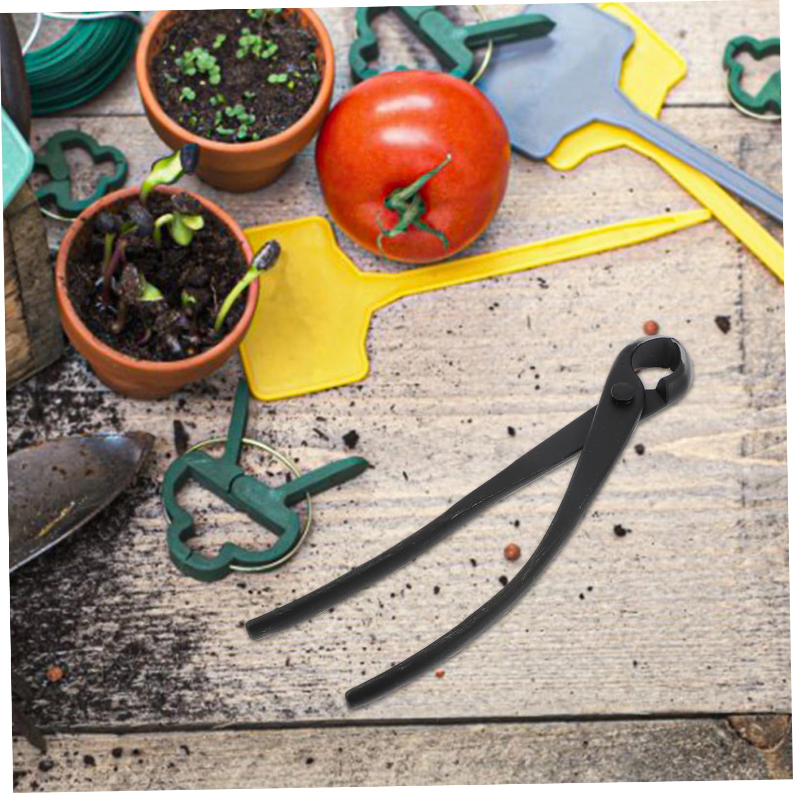Toddmomy Cutter Per Potatura Forbice Concava Per Bonsai Strumento Resistente e Facile Usare Per Del Giardinaggio