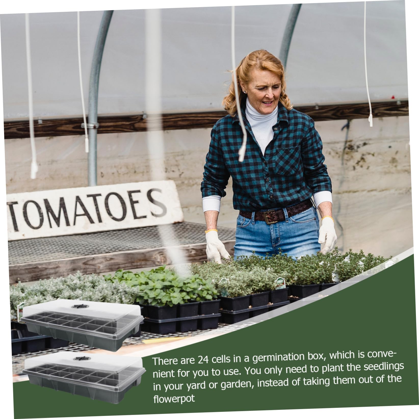 Hemobllo 2pezzi Vassoi per Germinazione Piante con Celle Trasparenti e Ventilate per Facile Semi e Piantine per e Coltivazioni Domestiche