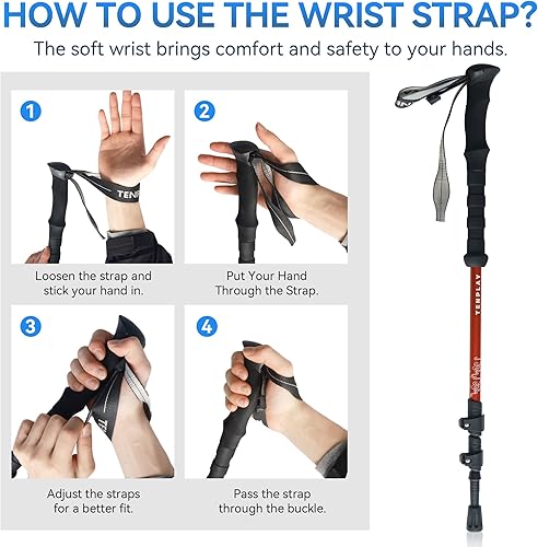 Miniatura 7 de TENPLAY - Bastón de trekking 7075 de aluminio, empuñaduras antideslizantes de EVA, bloqueo de palanca rápida, 3 secciones plegables, 53.1 in53.15