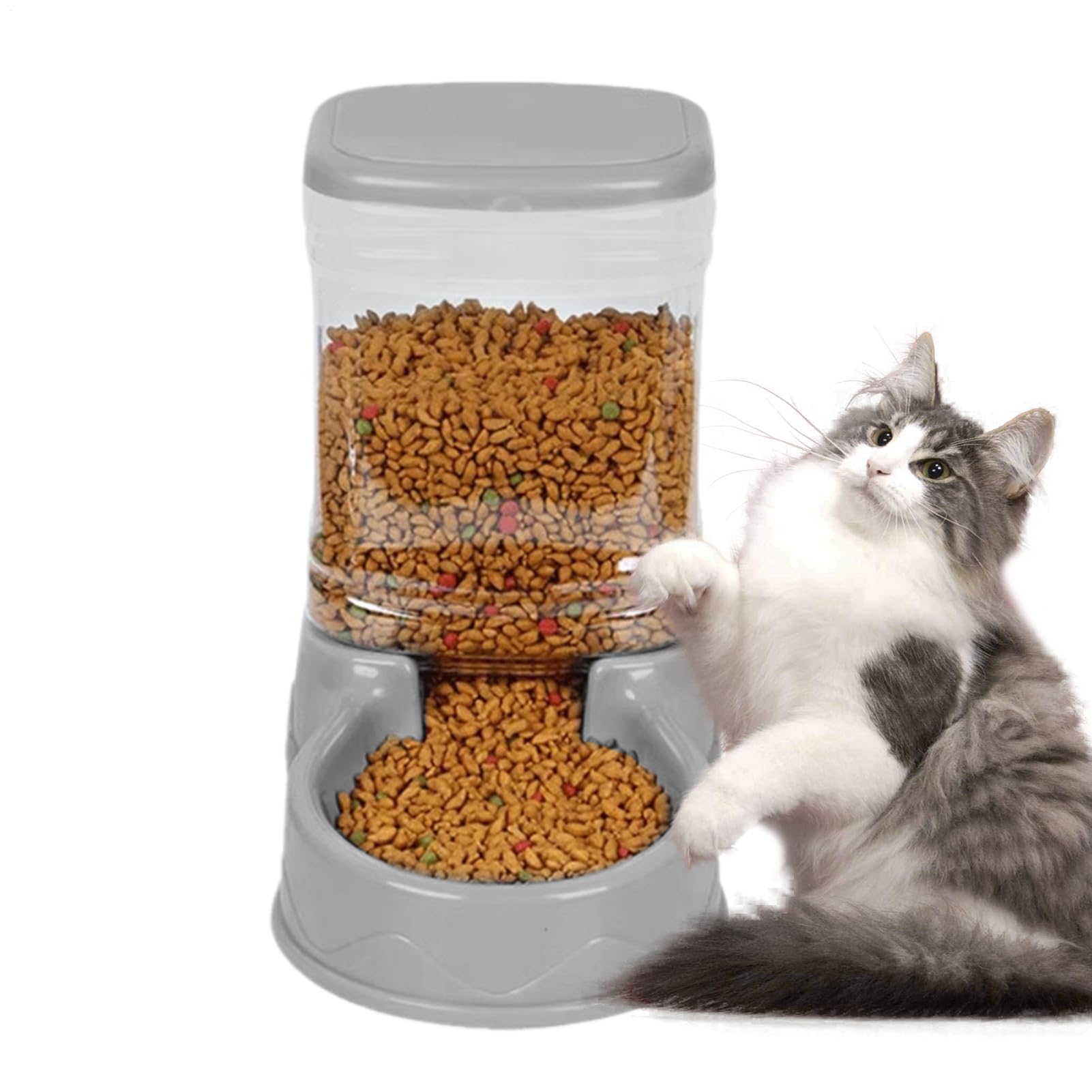Distributeur De Nourriture Pour Chats Croquettes