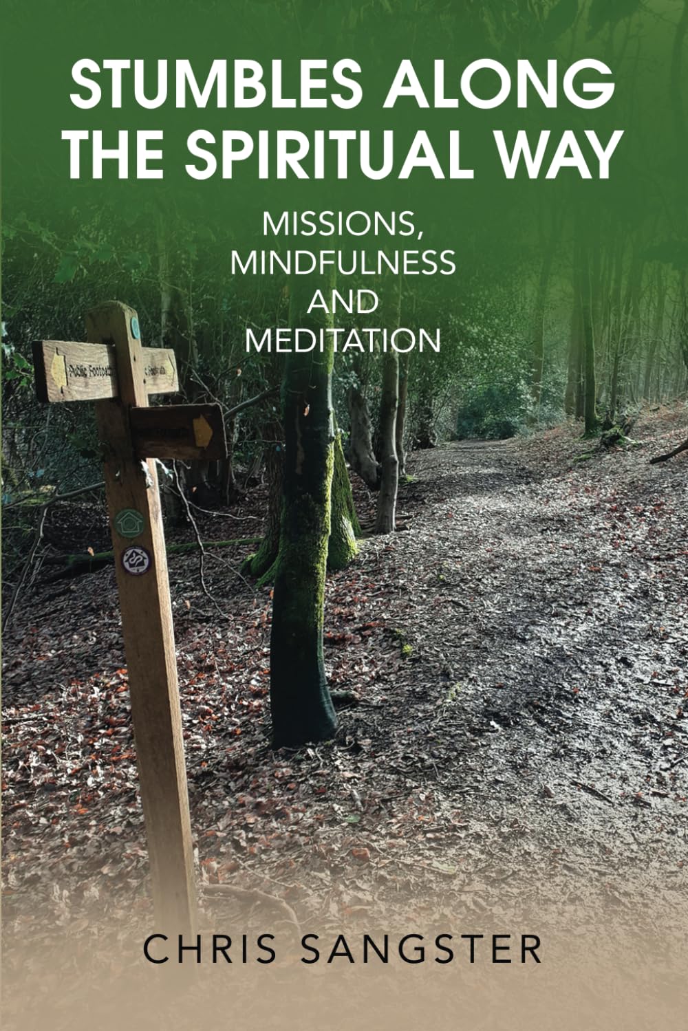 Stumbles Along the Spiritual Way: Missions, Mindfulness, and Meditation