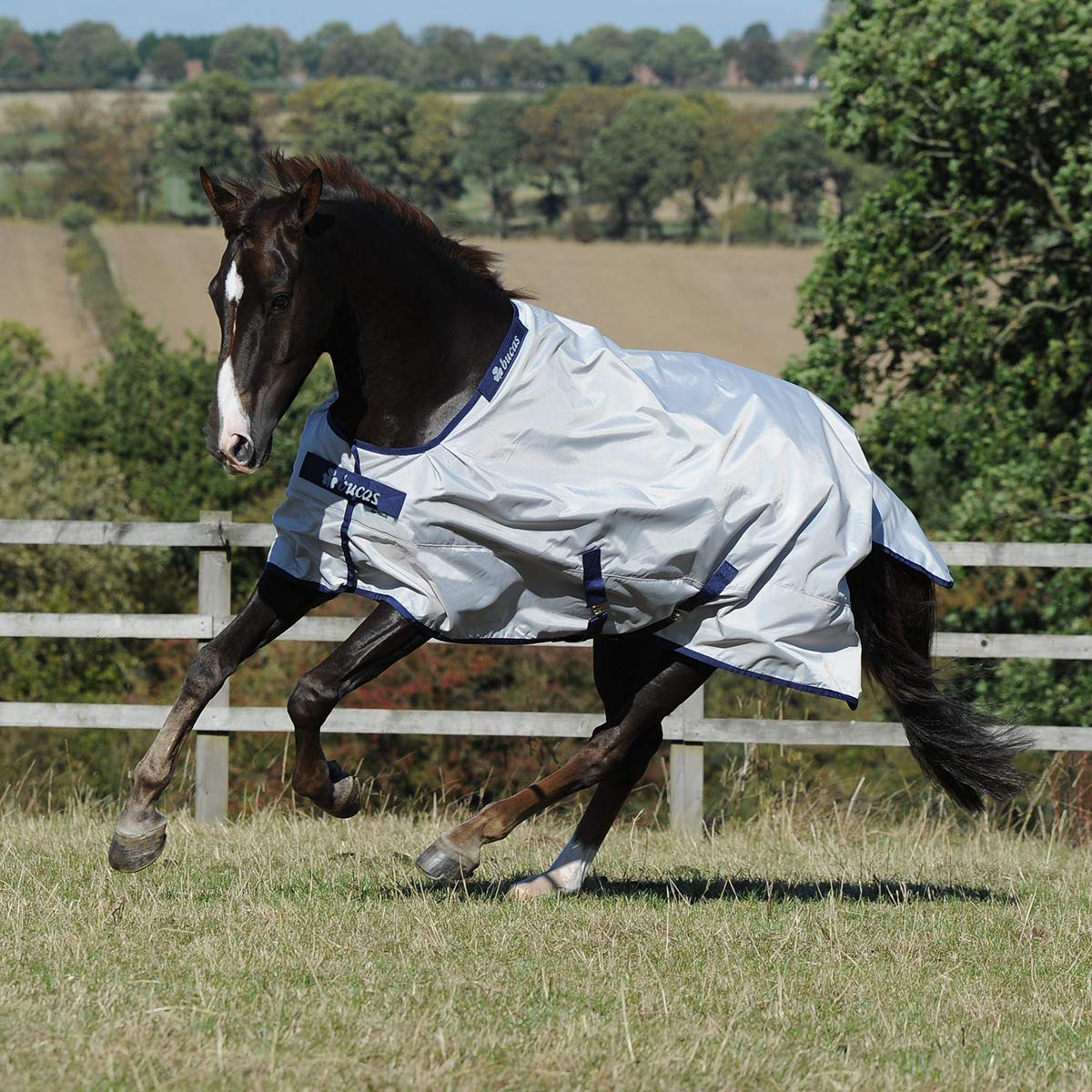 Bucas Sun-Shower 135 - Manta para Caballo, Color Plateado